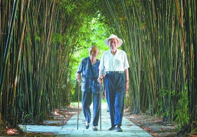 宋明清爹爹和程金蘭婆婆在堤角公園散步。記者熊波