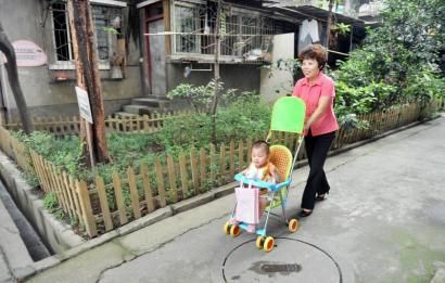 轄區(qū)單位出資，居民們主動維護(hù)，同善橋橫街8號院的綠化越來越好。